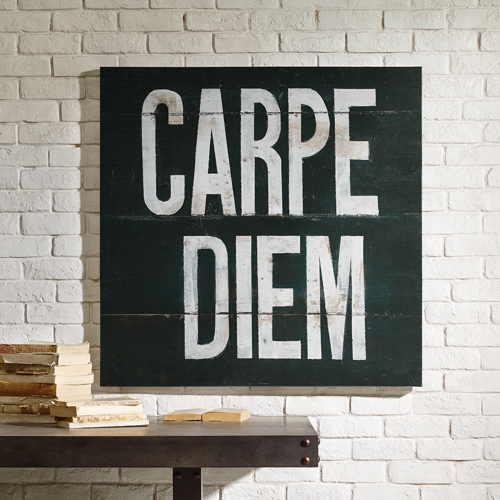 INK+IVY - Carpe Diem Printed Canvas with Gel Coat - Black - See below
INK+IVY - Carpe Diem Printed Canvas with Gel Coat - Black - See below