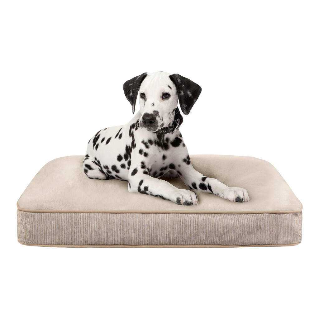 Soft Touch - Lux Touch Deep Sleeper Napper Lux Touch Deep Sleeper Napper - Flax/Taupe - See below
Soft Touch - Lux Touch Deep Sleeper Napper Lux Touch Deep Sleeper Napper - Flax/Taupe - See below