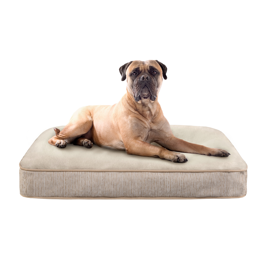 Soft Touch - Bonsai Lux Touch Deep Sleeper Napper Lux Touch Deep Sleeper Napper - Flax/Taupe - See below
Soft Touch - Bonsai Lux Touch Deep Sleeper Napper Lux Touch Deep Sleeper Napper - Flax/Taupe - See below