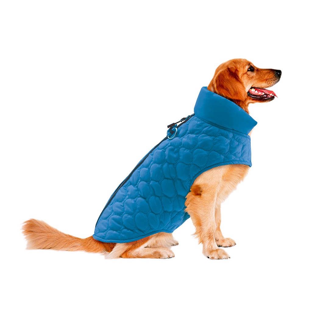 

Track & Tail - Benji Scallop Quilted Bomber - Teal - See below