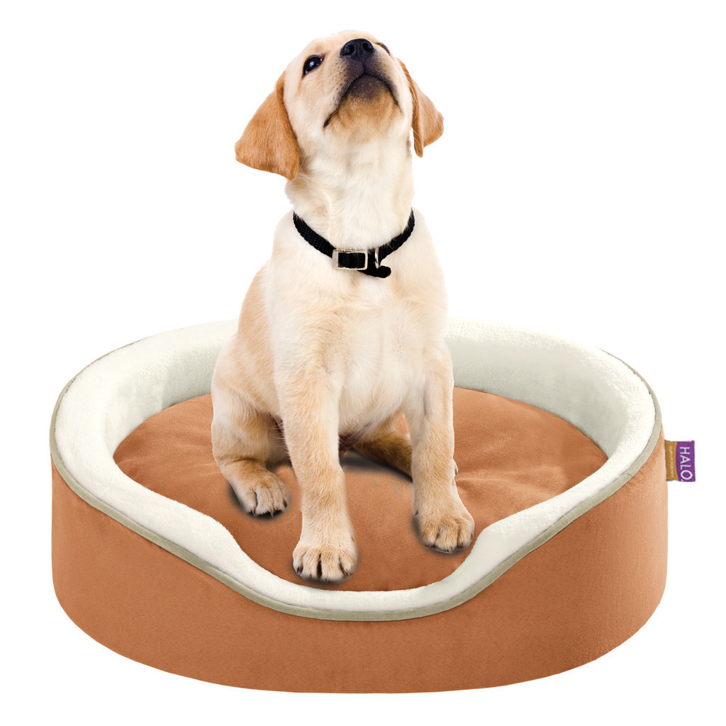 

Halo - Reversible Oval Cuddler Reversible Oval Cuddler - Spice/Cream - 27x21