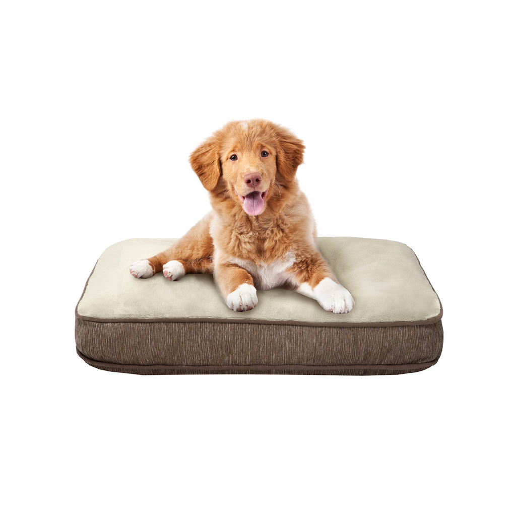 

Soft Touch - Lux Touch Deep Sleeper Napper Lux Touch Deep Sleeper Napper - Mink/Sage - 36x27