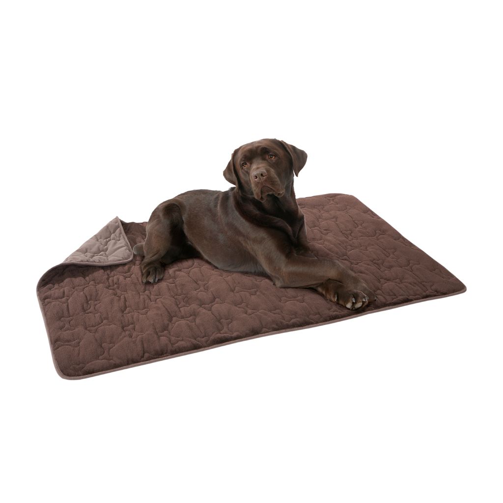 

Simmons - Bone Shaped Pet Pillow Bone Shaped Pet Pillow - Chocolate/Brown - 40x60