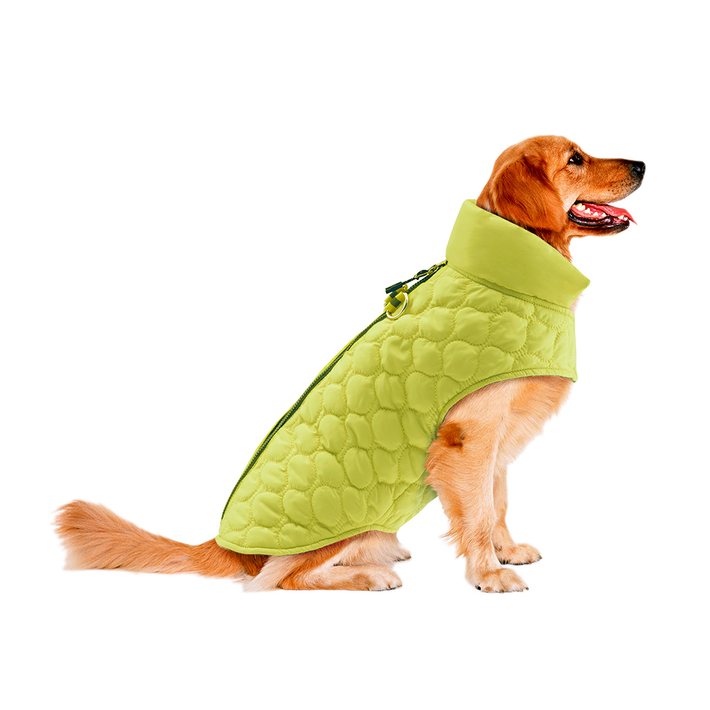 

Track & Tail - Benji Scallop Quilted Bomber - Green - See below
