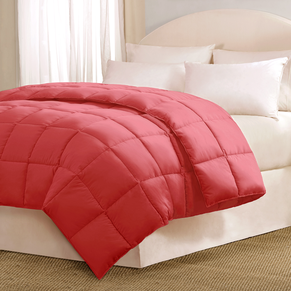 

Main Street - MS Bright Comforter Comforter - Pink - King