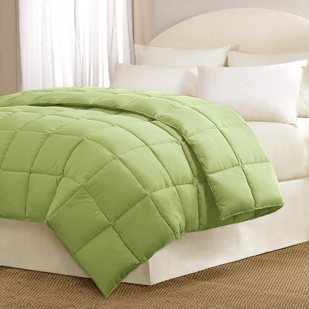 

Main Street - MS Bright Comforter Comforter - Aqua - Full/Queen
