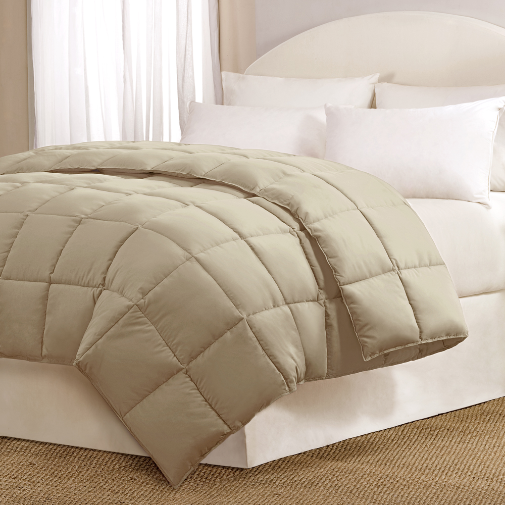 

Main Street - MS Bright Comforter Comforter - Khaki - Twin