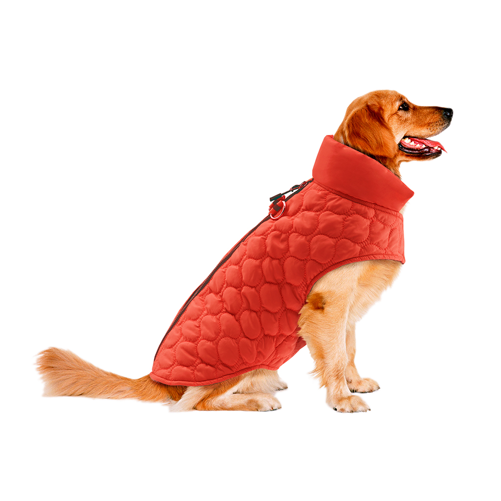 

Track & Tail - Benji Scallop Quilted Bomber - Orange - See below