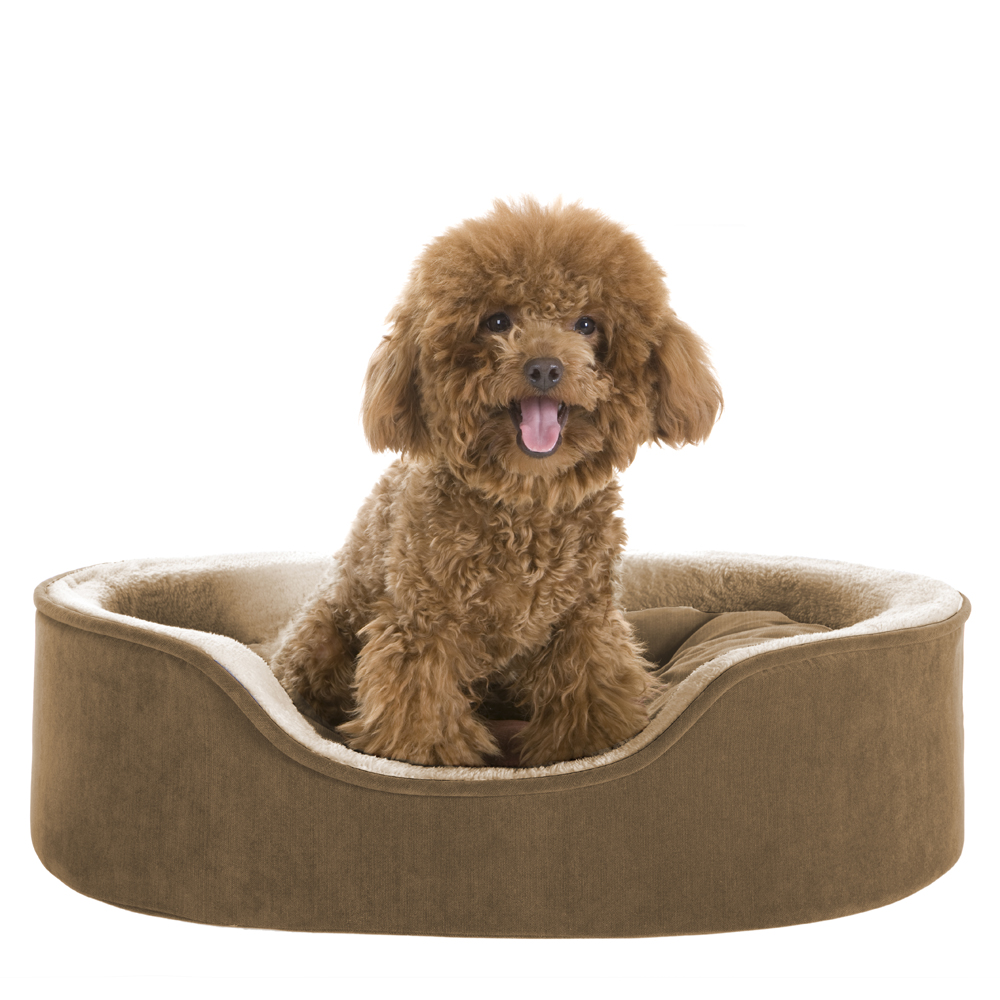 

Soft Touch - Dog Oval Cuddler Brown Oval Cuddler with Cushion - Brown - 27x21