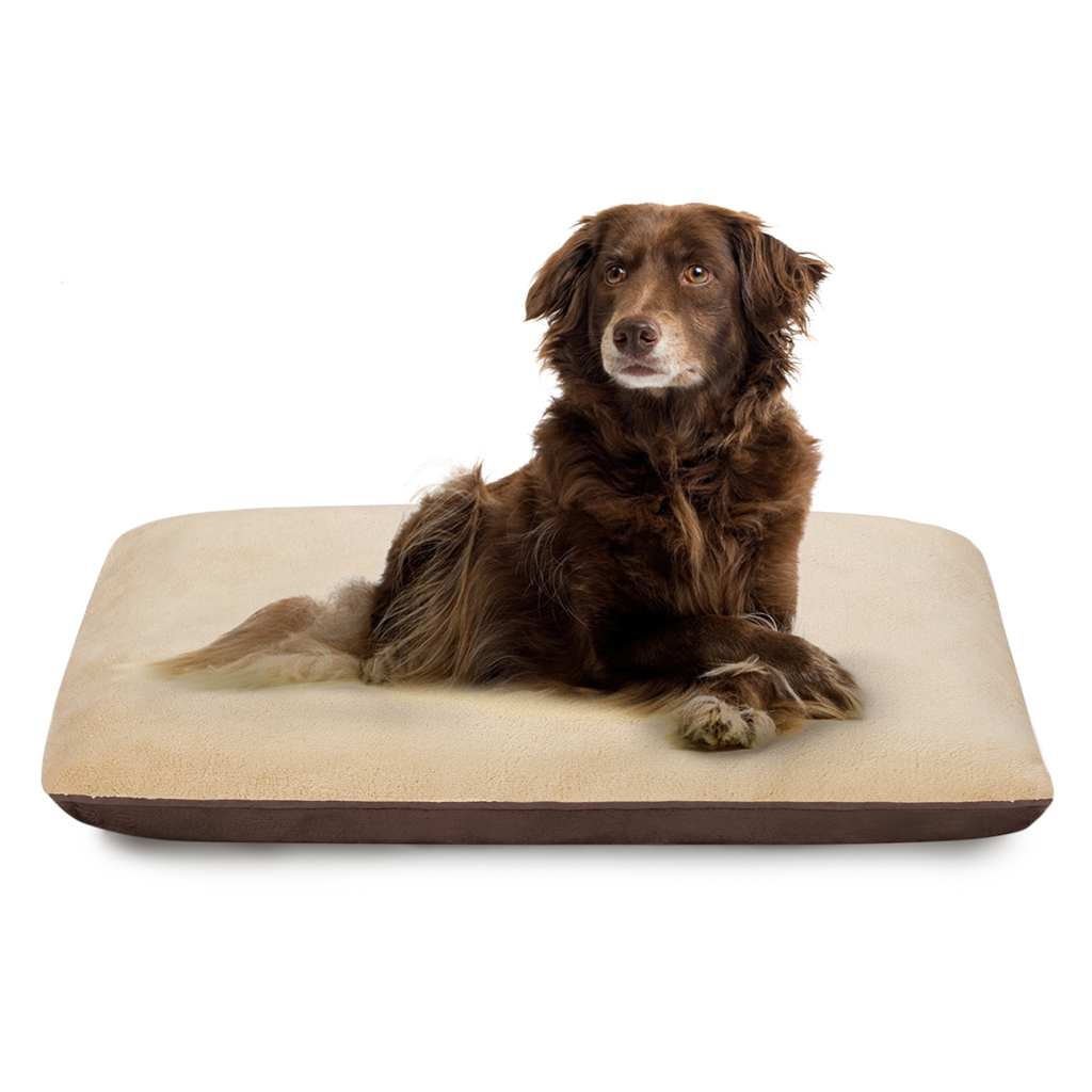 

Soft Touch - Reversible Pet Pillow Reversible Pet Pillow - Beige - 35x44